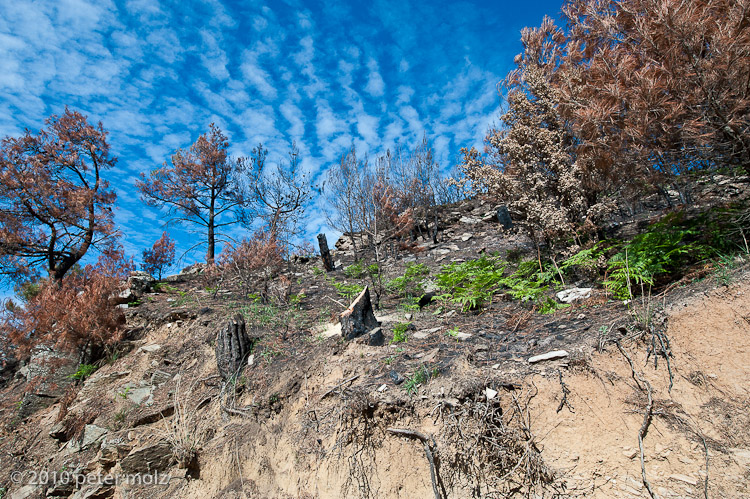 Kakoperato, the trace of the fire / Samos, Greece, 2010