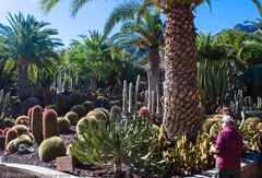 Kakteen-Park bei Mogán, Gran Canaria