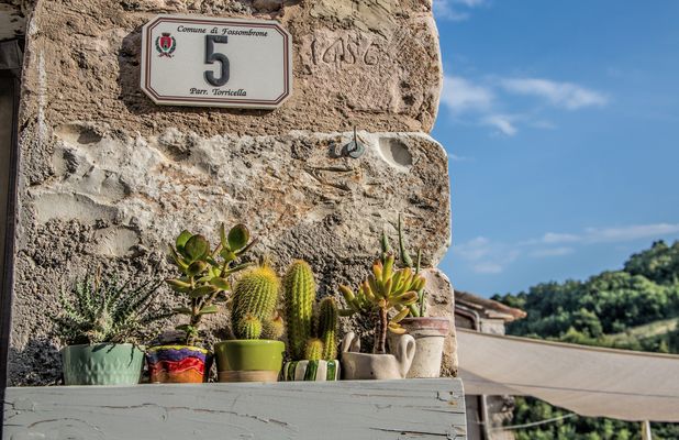 Kakteen vor HausNummer 5...