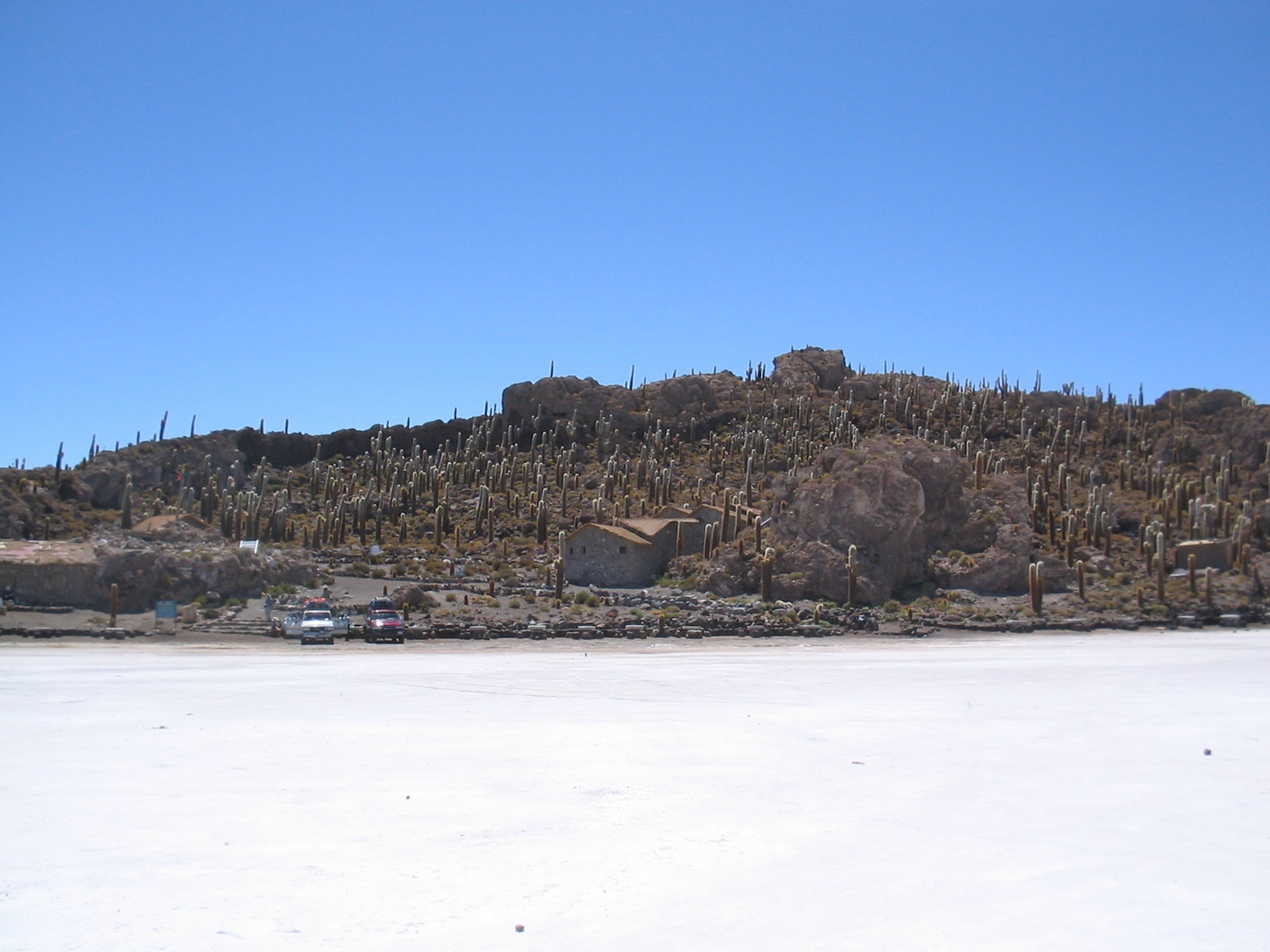 Kakteeninsel im Salzsee in der Atacama 2