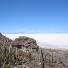 Kakteeninsel im Salzsee in der Atacama