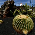 Kaktusgarten auf Lanzarote