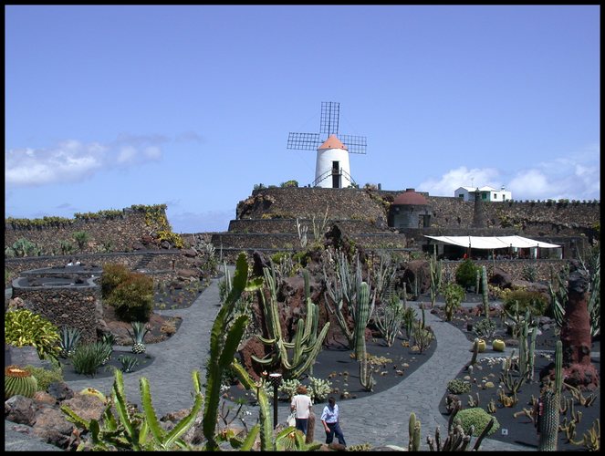 Kaktusgarten auf Lanzarote