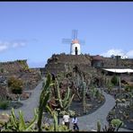 Kaktusgarten auf Lanzarote