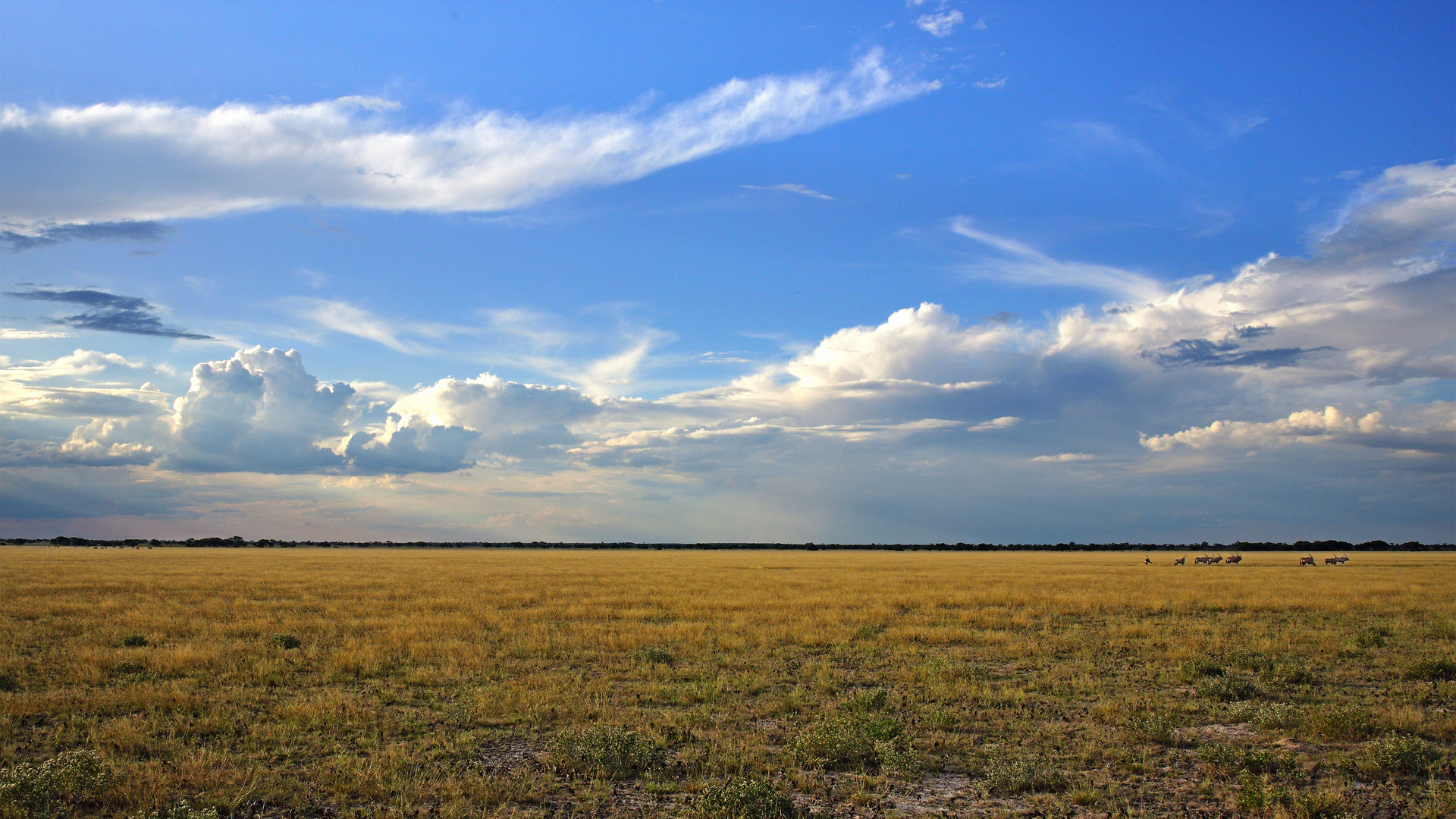 Kalahari