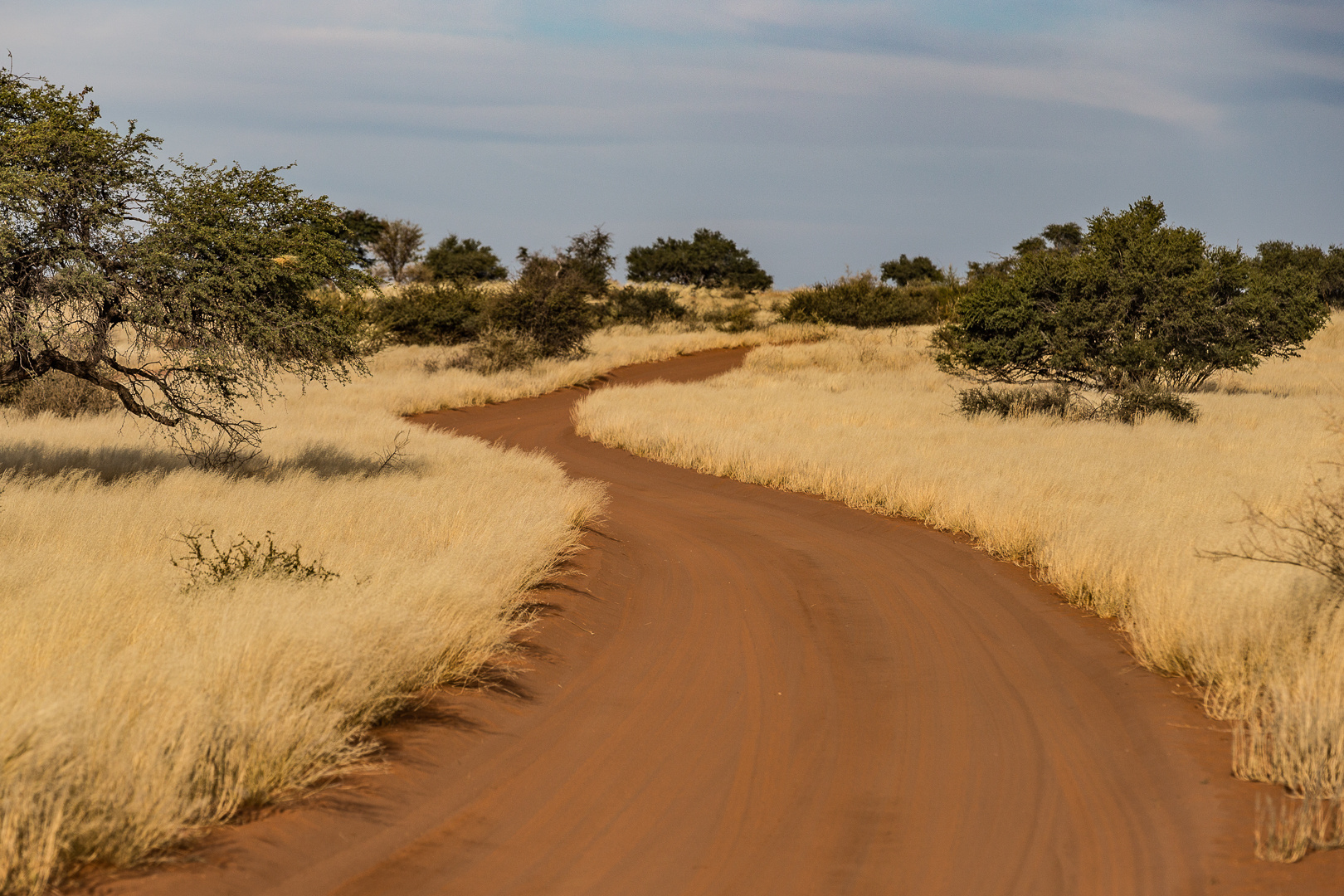 Kalahari