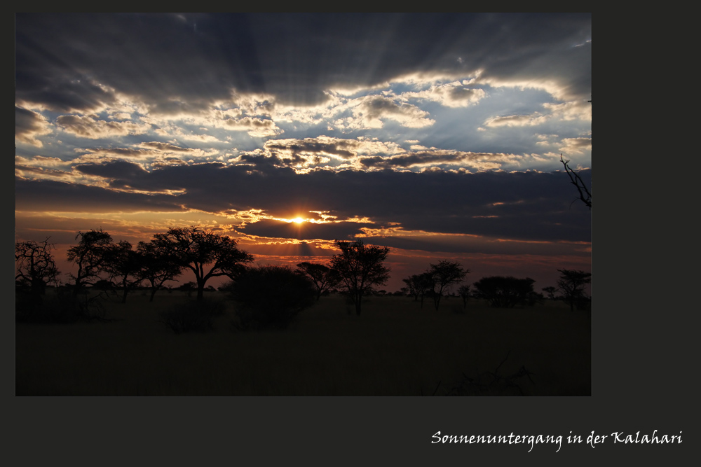 Kalahari