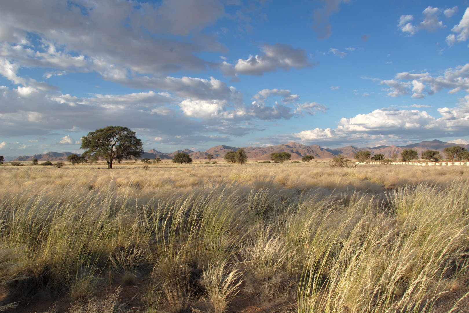 Kalahari