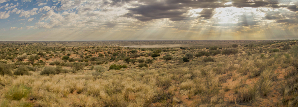 Kalahari