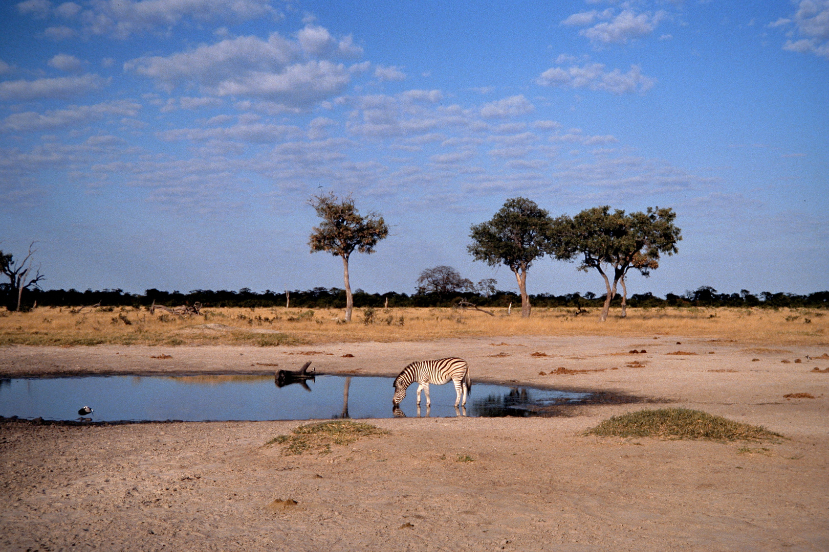 Kalahari, Botswana