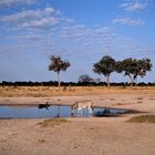 Kalahari, Botswana