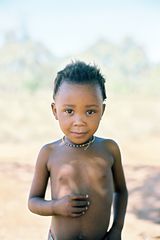 Kalahari Boy