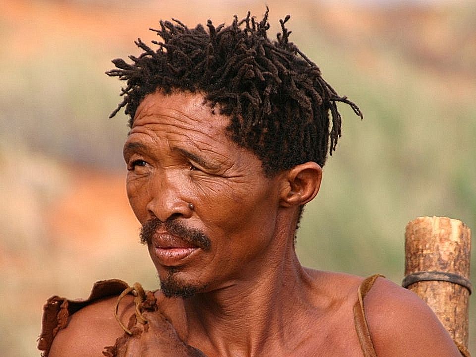 Kalahari Bushman