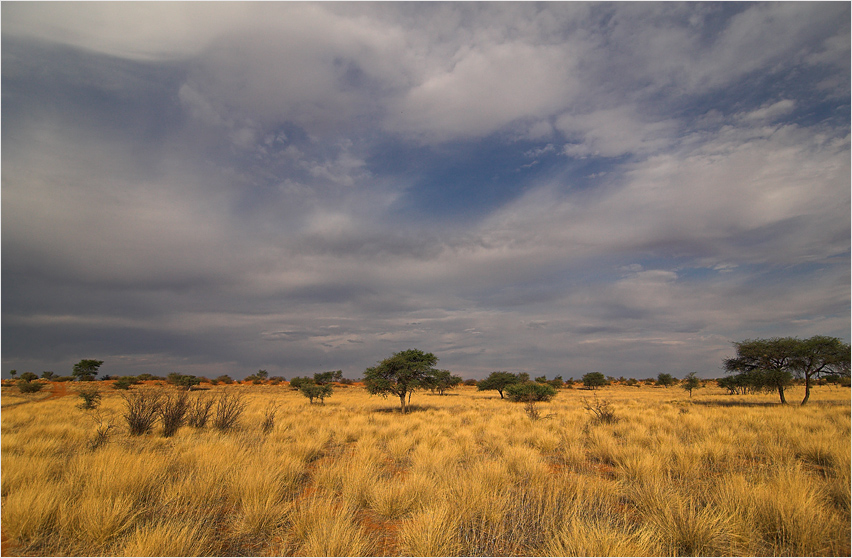 Kalahari