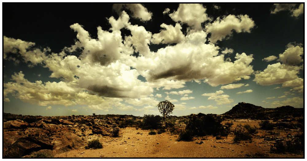 Kalahari Desert