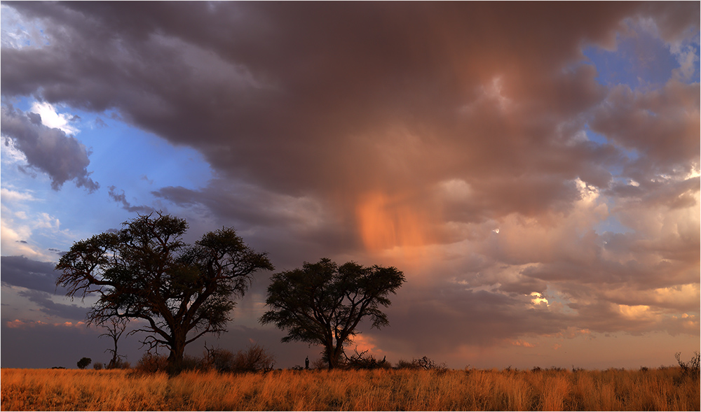 Kalahari Dream