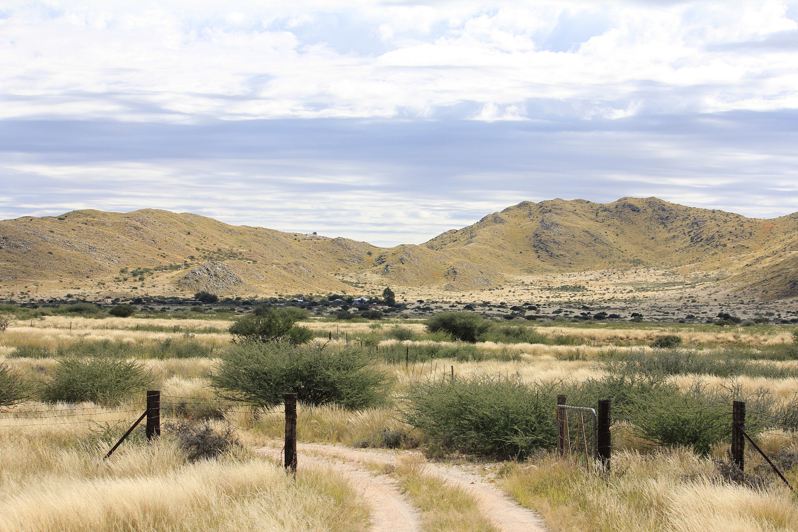 Kalahari