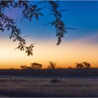 Kalahari In Namibia