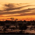 Kalahari in Namibia