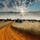 Kalahari-Landschaft 