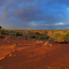 Kalahari / Namibia