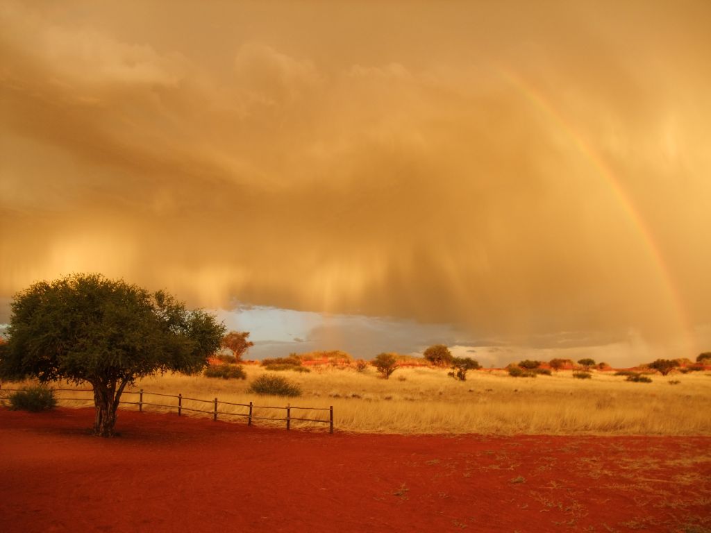 Kalahari Rain 1