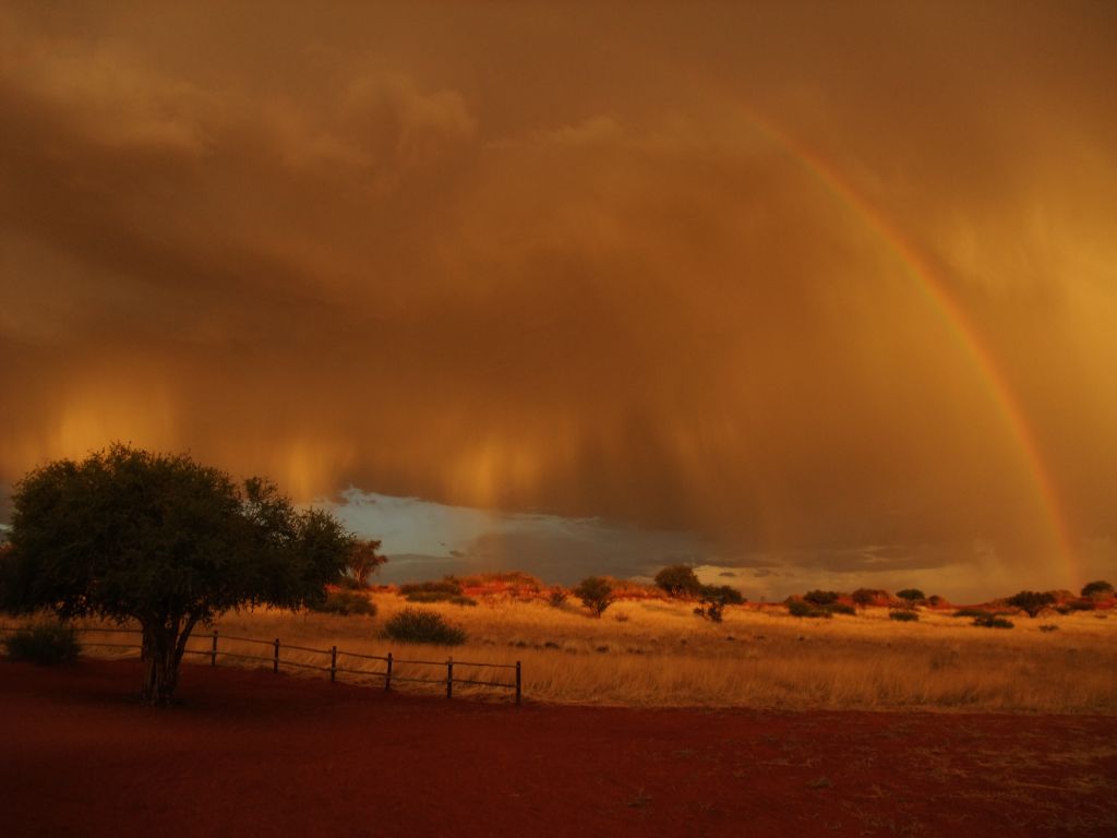 Kalahari Rain 2