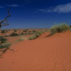 Kalahari - Sandkasten für Liebhaber!