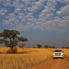 Kalahari Sky