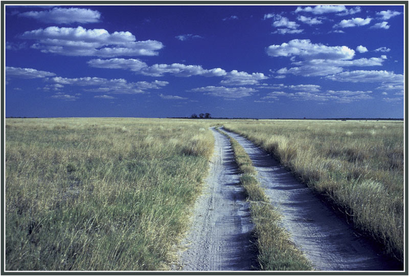 Kalahari, Strasse zu den Sleeping Sisters.