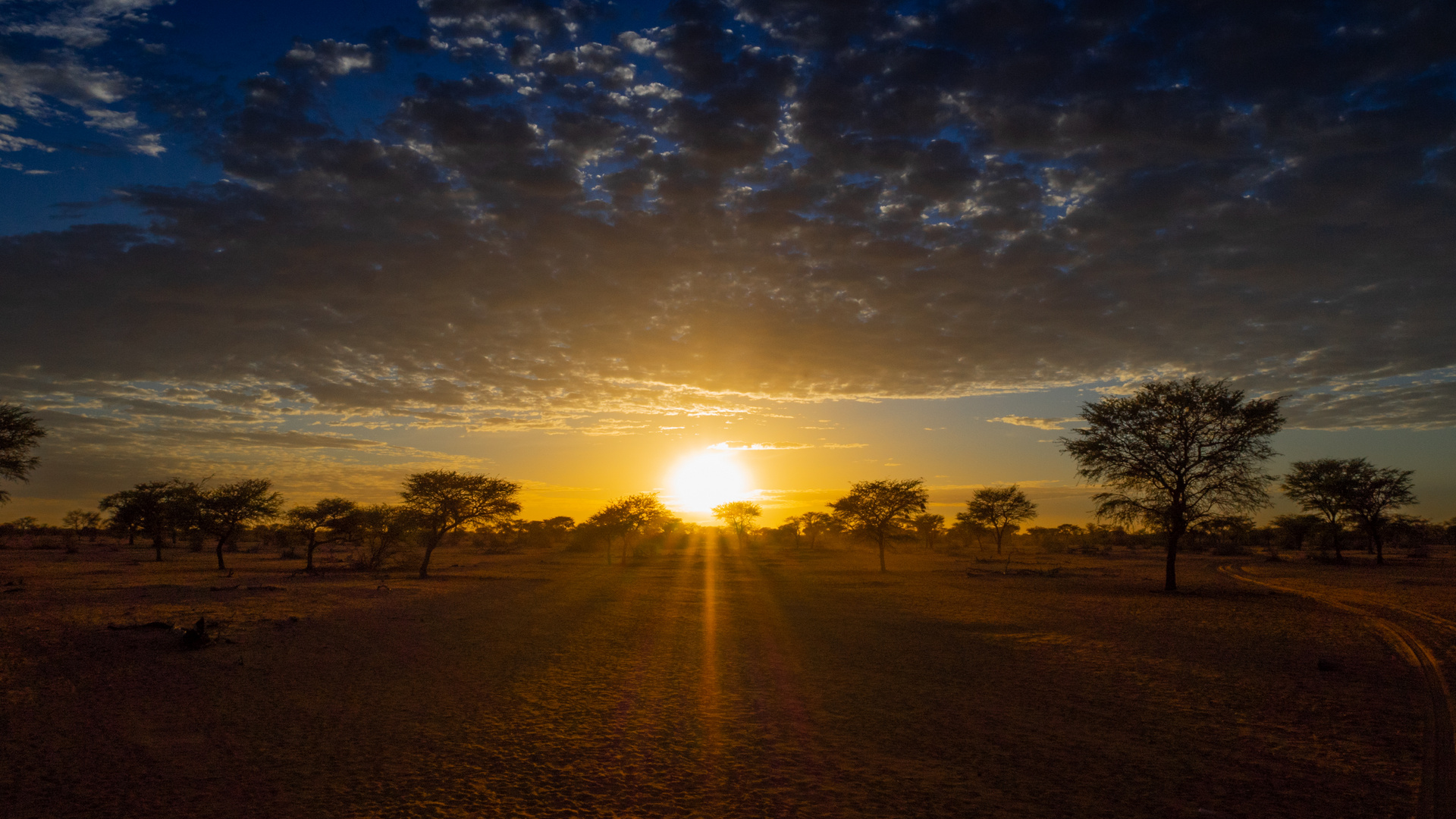 Kalahari Sundown