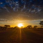 Kalahari Sundown