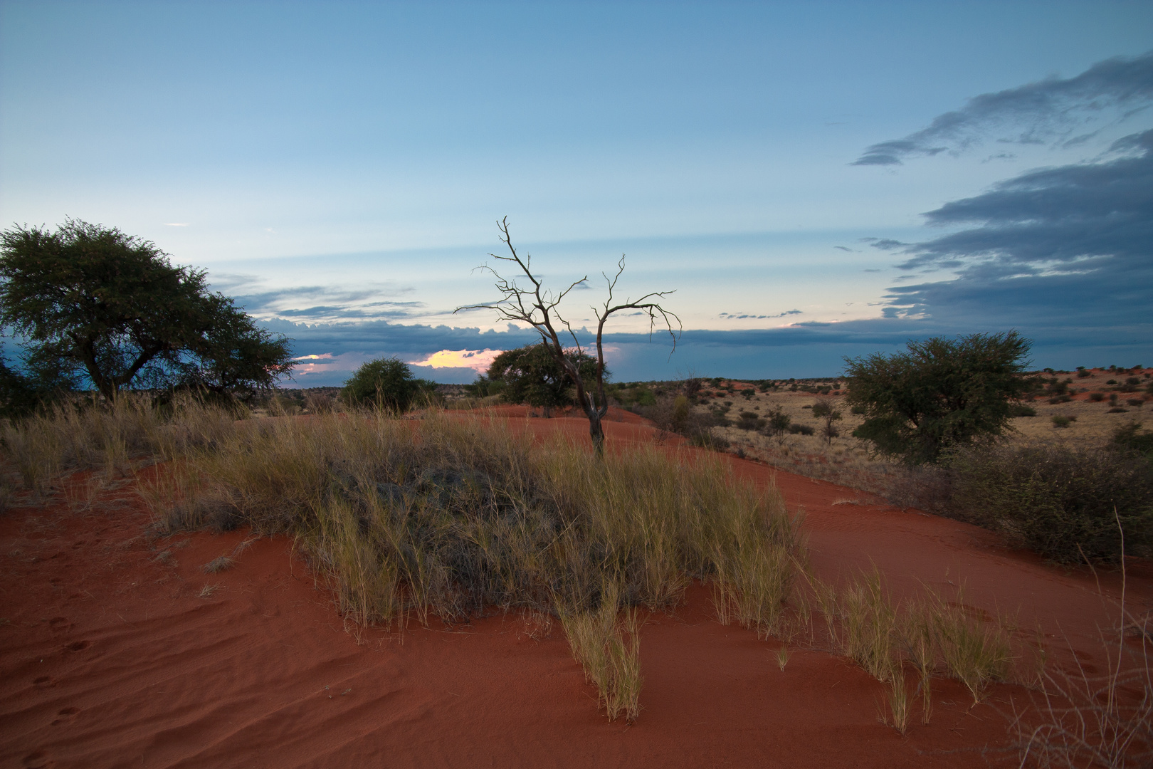 Kalahari Sunset