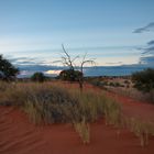 Kalahari Sunset