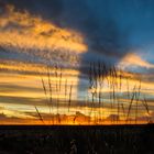 KALAHARI SUNSET,.