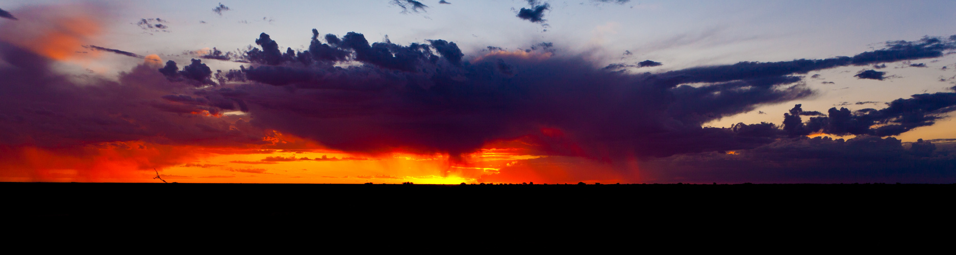 Kalahari Sunset