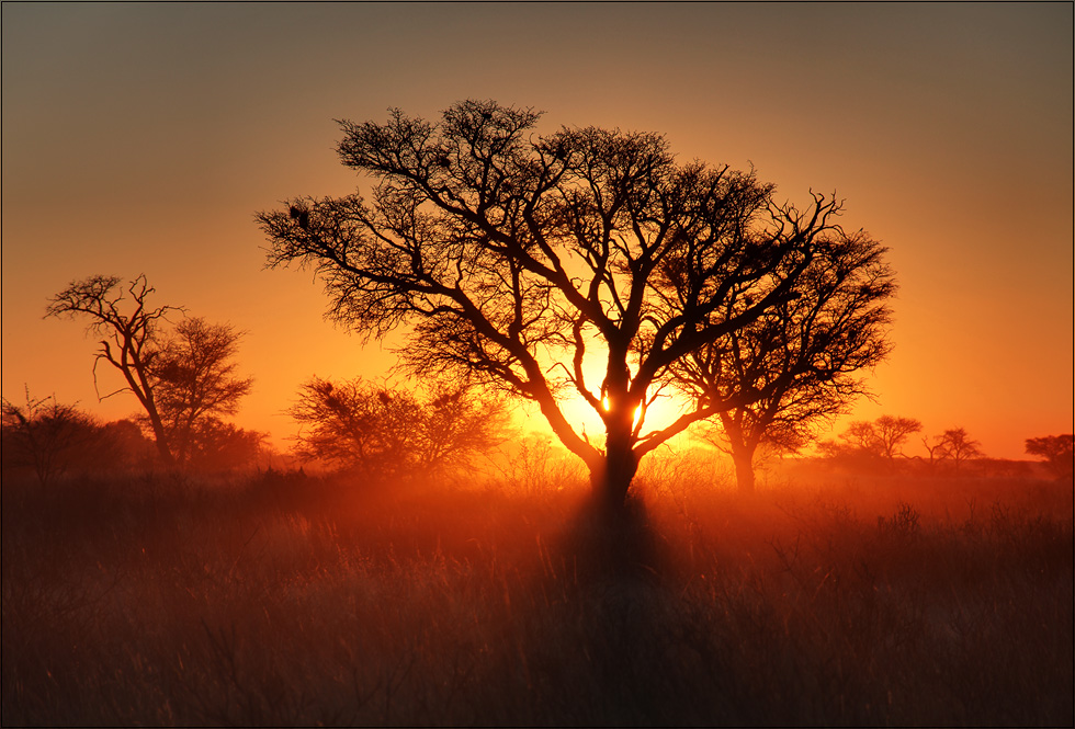 Kalahari Sunset Foto & Bild africa, southern africa, south africa Bilder auf