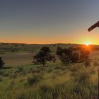 Kalahari Tented Camp