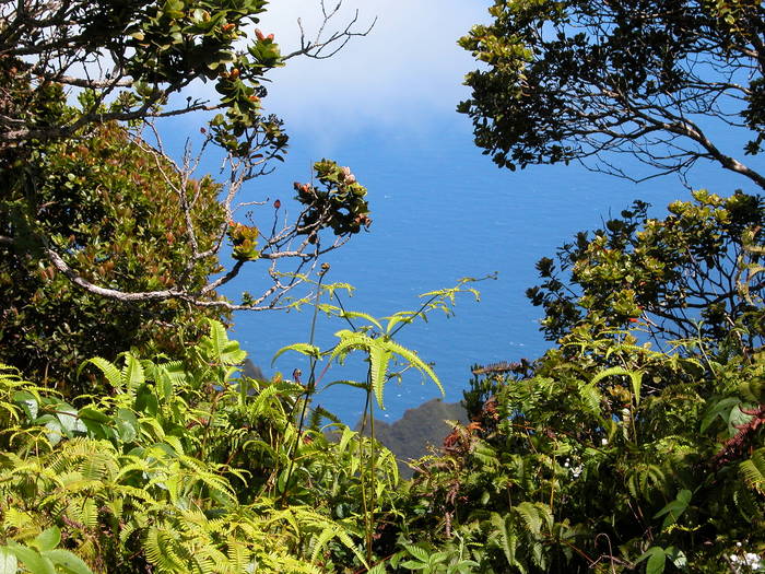 Kalalau lookout