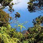 Kalalau lookout