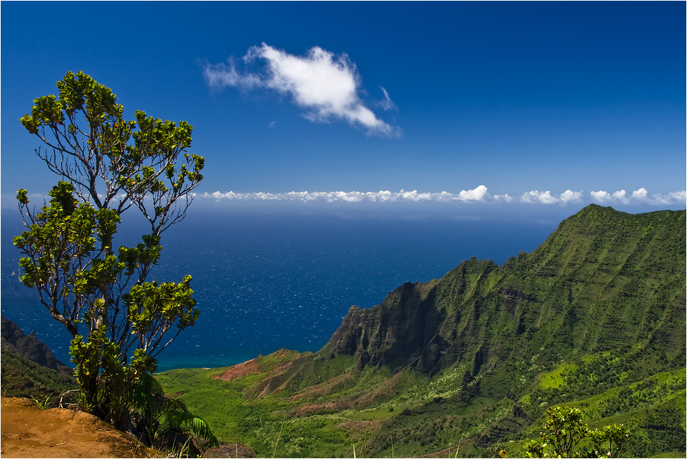 *** kalalau part II ***