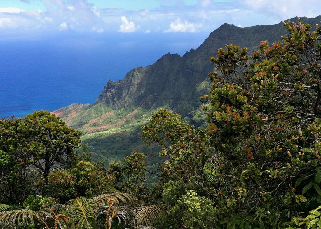 Kalalau Tal