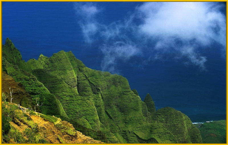 Kalalau Valley lookout, Kauai- Hawaii