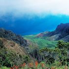 Kalalau Valley, Napali Coast, Kauai