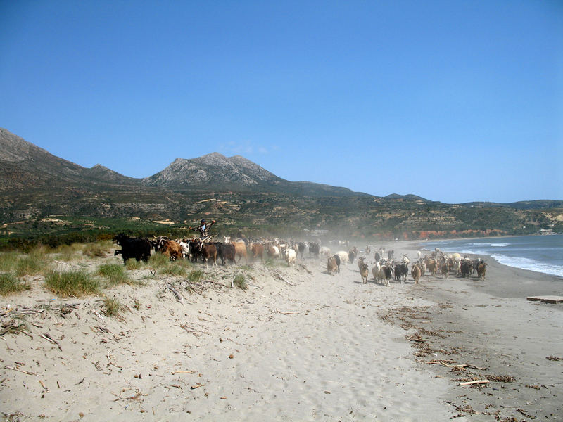 kalamata beach