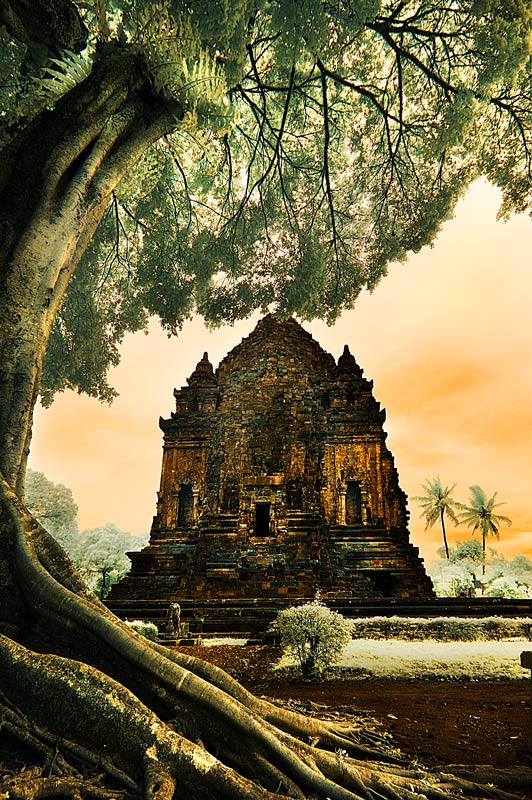 Kalasan Temple, Central Java