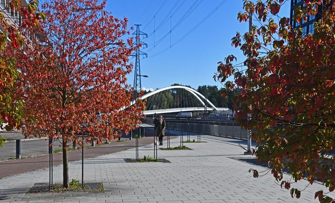 Kalasatama, the gran fathers bridge