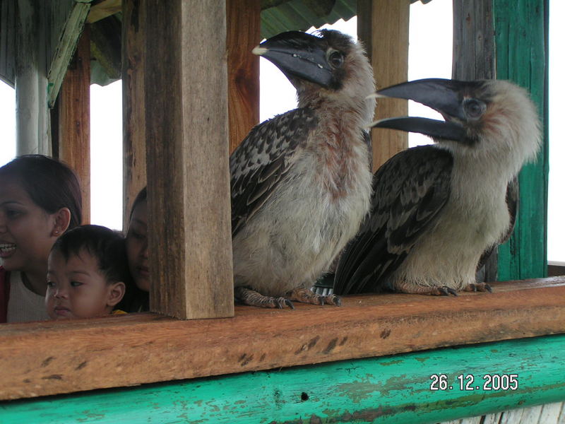 Kalaw-Island in the Sky, Cebu