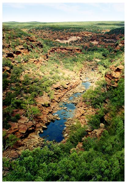 Kalbarri National Park (in der Nähe des Natural Window)