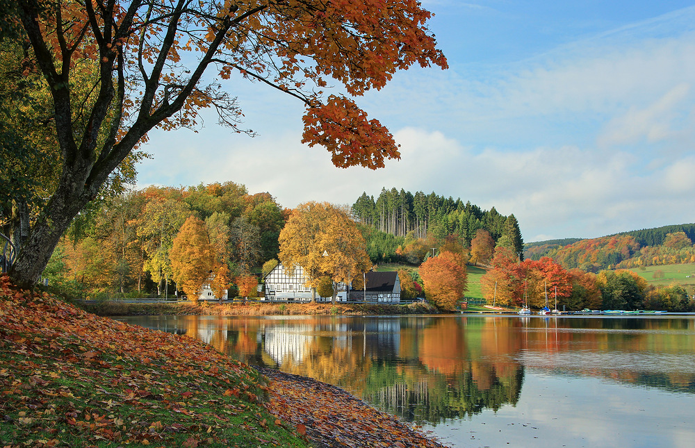 Kalberschnacke im Herbst. (2)